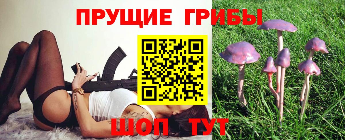 Рассказово  Галлюциногенные грибы GOLDEN TEACHER  Вход с VPN 